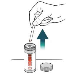 Hand pulling out ketone test strip from tube.
